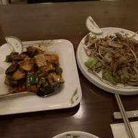 Stir fried tofu & mushrooms in medium spicy sauce w/ ho fun noodles (all gluten-free) #Veganuary at Tofu Vegan - Charlotte in London