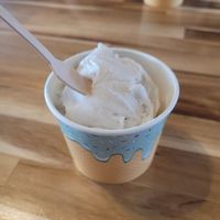 Vegan vanilla gelato at Owego Donut & Beer Co in Owego