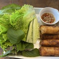 Spring rolls   at Everyday Vegan in Da Nang