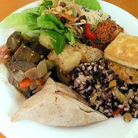 My plate at O Vegetariano in Recife