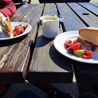 Vegan Victoria sponge (with a jug of vegan custard) and vegan Carrot Cake  at The View at Monktonhill Farm in Prestwick