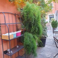 Dehors at Foodie in Cesena