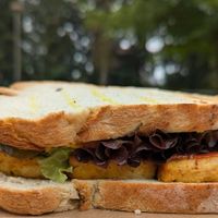 BBQ Tofu sandwich at Rosa's in Portland