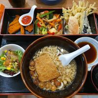 Udon set at Teng Bespoke Vegetarian Restaurant - 藤 in Central Singapore