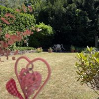 Ambiete Außenbereich  at Café Wolke 7 in Neuwied