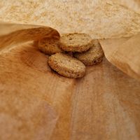 Biscotti frutta secca at Bocal & Co - Arles in Arles