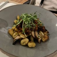Dish of the day - garlic mushroom gnocchi  at Mono in Glasgow