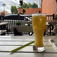   at Terra Suculenta Brunch in San Luis Potosi