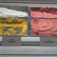 Vegan Ice Cream at Madaq Chocolatier  in Haarlem