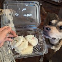 White cashew chocolate cookie at Niru's Delight in Nairobi