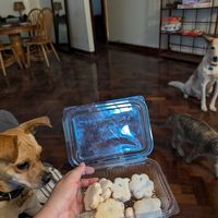 Coconut fruit cookie at Niru's Delight in Nairobi