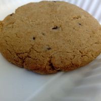 Chocolate chip cookie at The Red Fern in Rochester