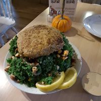  at The Red Fern in Rochester