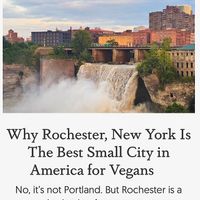  at The Red Fern in Rochester