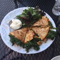 Quesadilla! at The Red Fern in Rochester