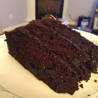 Chocolate Mint Cake at The Red Fern in Rochester