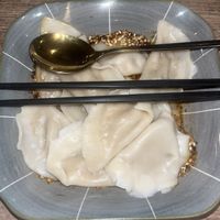 Vegan dumplings  at Gemini Dumplings & Noodles Restaurant - Mae Haad in Koh Tao