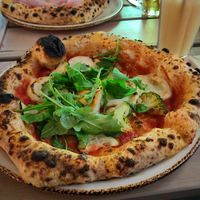 Green Mamba at 60 seconds to Napoli  in Stuttgart