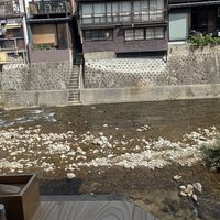  at Ramen Kamon in Takayama