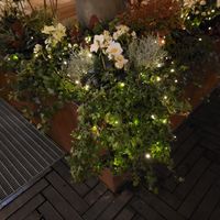 Outdoor decoration at Kafé Oransjeriet in Stavanger