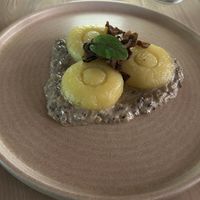 Dumplings  at Manna 2 in Warsaw