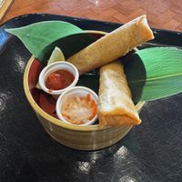   at Lost World Restaurant - Universal Studios Japan in Osaka