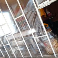 Food truck at Rastafarian Modern Love in Georgetown