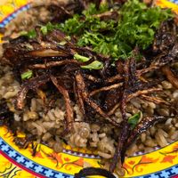  at Delight of Beirut in Miami