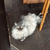   at Shio Veg Cafe in Kyoto