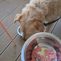  at Neat Burger - Porta Venezia in Milan