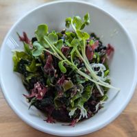 Hiyashi Wakame seaweed salad at Mirakutei in Portland