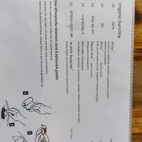 Menu of the vegan dishes at Addis Abeba Restaurant Jena in Jena