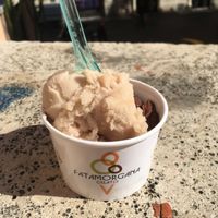 Hazelnut/myrtle and chocolate flavour vegan gelato at Fatamorgana Gelato in Rome