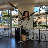 interior at Sprinkle Divine in Portland