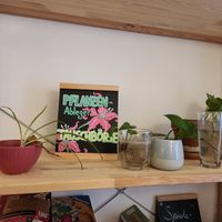  at Bistro Deppat in Vienna