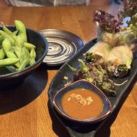 Edamame & Tofu Summer Rolls  at An An 2 in Tubingen