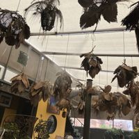   at MY Kechmara in Marrakech