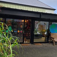 Outside at Nourish Café in Dingle