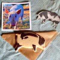 They did a fundraiser for Uplands PEAK Farmed Animal Sanctuary in Salem, Indiana!  at Rainbow Bakery in Bloomington