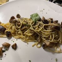   at Il Tulipano Nero in Rome