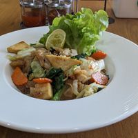 flavorless pad see ew at Begin Vegan Food in Chiang Mai