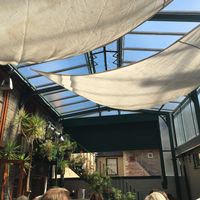 Busy even mid week at Amandines in Diss