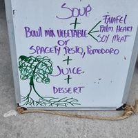 Vegan and vegetarian menu at Portofino's in Puerto Villamil