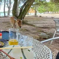  at Kiyomori-Chaya Family Run Restaurant in Hiroshima