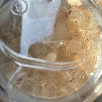 Cinnamon in iced chai was 👩🏼‍🍳💋  at Honest Coffee Roasters in Huntsville