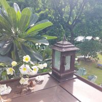 Garden at Eudemonia Nomad Plaza in Chiang Mai