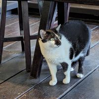  at WhoTogether 胡同飲集聚場 in Taichung