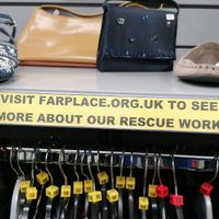 Supports Farplace Animal Rescue at Farplace Animal Rescue in Neath