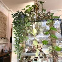  at Prince Peach in Berlin