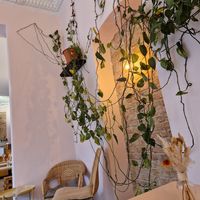 Interior at Prince Peach in Berlin